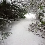 Grubhof Treetops * Sankt Martin bei Lofer