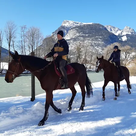 Grubhof Treetops Sankt Martin bei Lofer