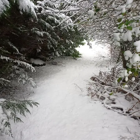 Grubhof Treetops * Sankt Martin bei Lofer