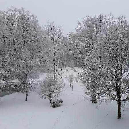 アパート Grubhof Treetops *