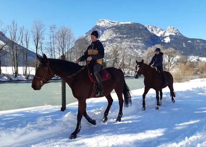Grubhof Treetops ザンクト・マルティン・バイ・ローファー