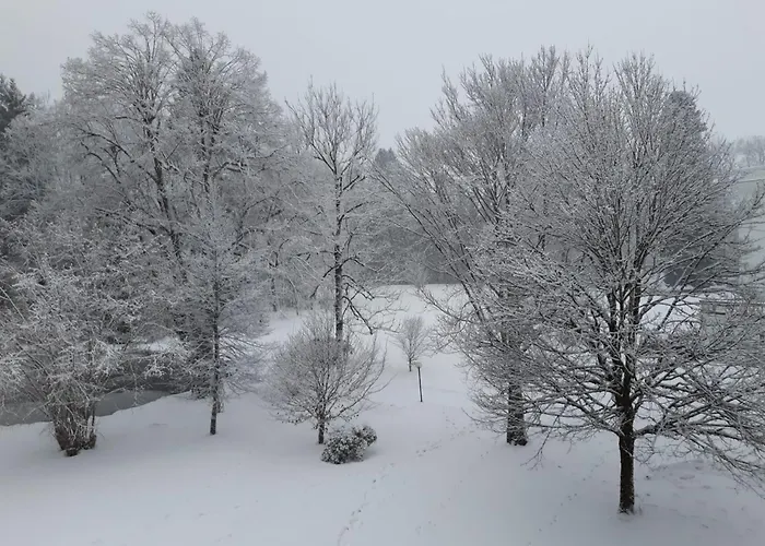 Lejlighed Grubhof Treetops *